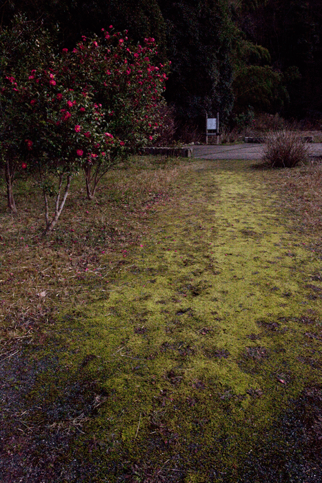 c0193289_224382.gif