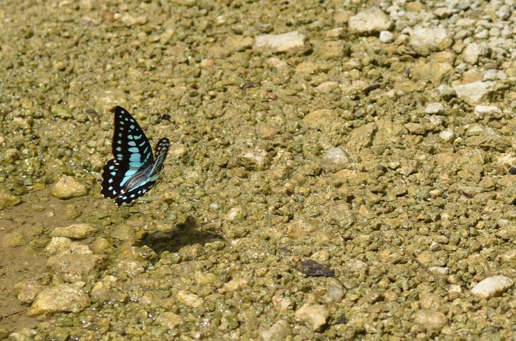 a0277496_226403.jpg