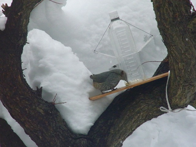 f0157901_17172994.jpg