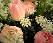 e0175702_22454731.jpg