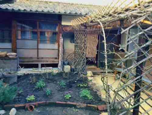 d0077603_17152222.jpg