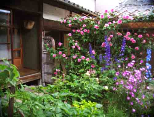 d0077603_17184934.jpg