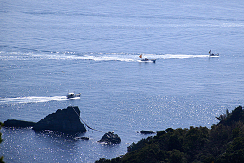 b0014607_107317.jpg