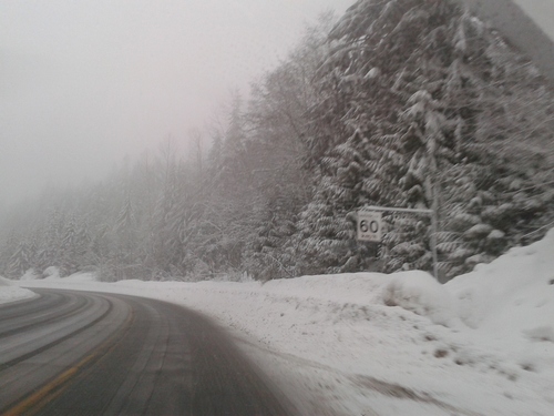 e0247410_6311689.jpg