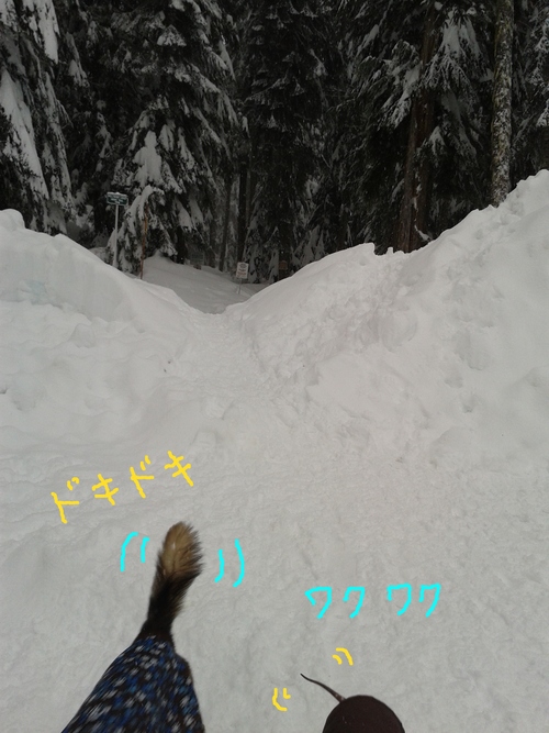 e0247410_6374992.jpg