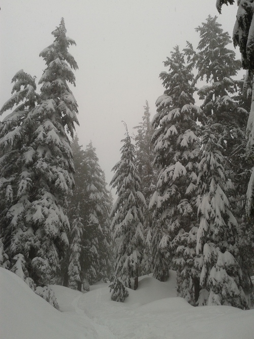 e0247410_721115.jpg