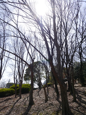 c0235725_0212793.jpg