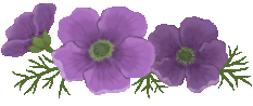 c0123031_14424787.gif