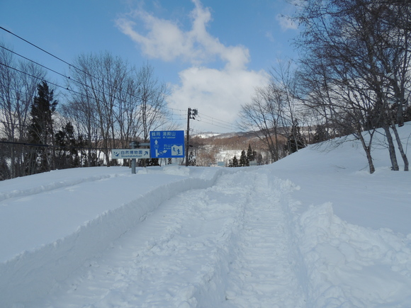 f0118332_20315427.jpg