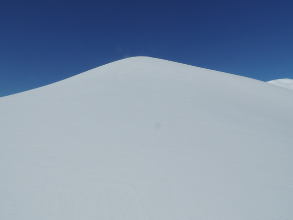 f0118332_2039919.jpg