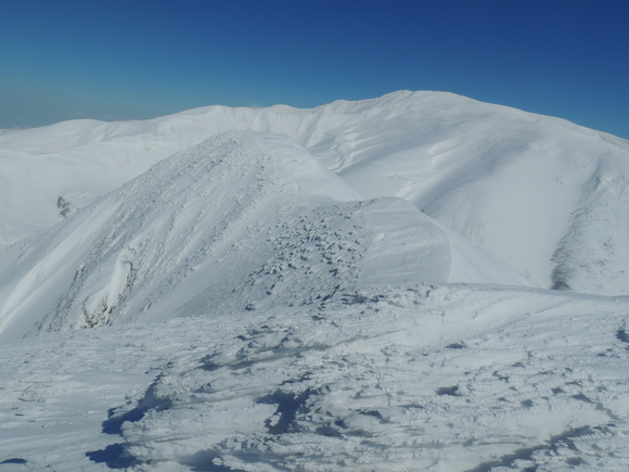 f0118332_20451745.jpg