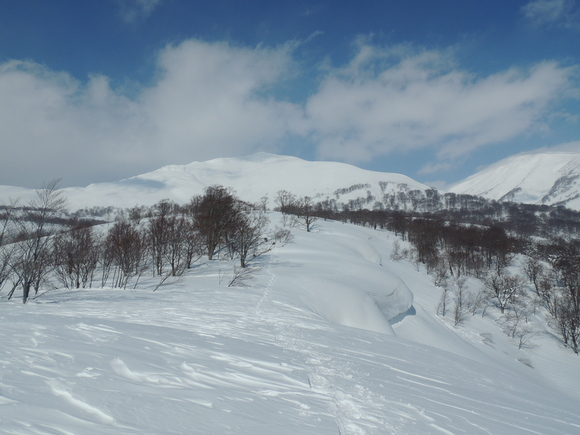 f0118332_2135888.jpg