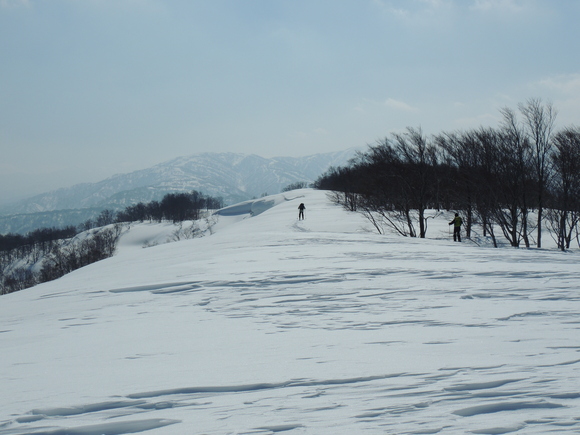 f0118332_2142276.jpg