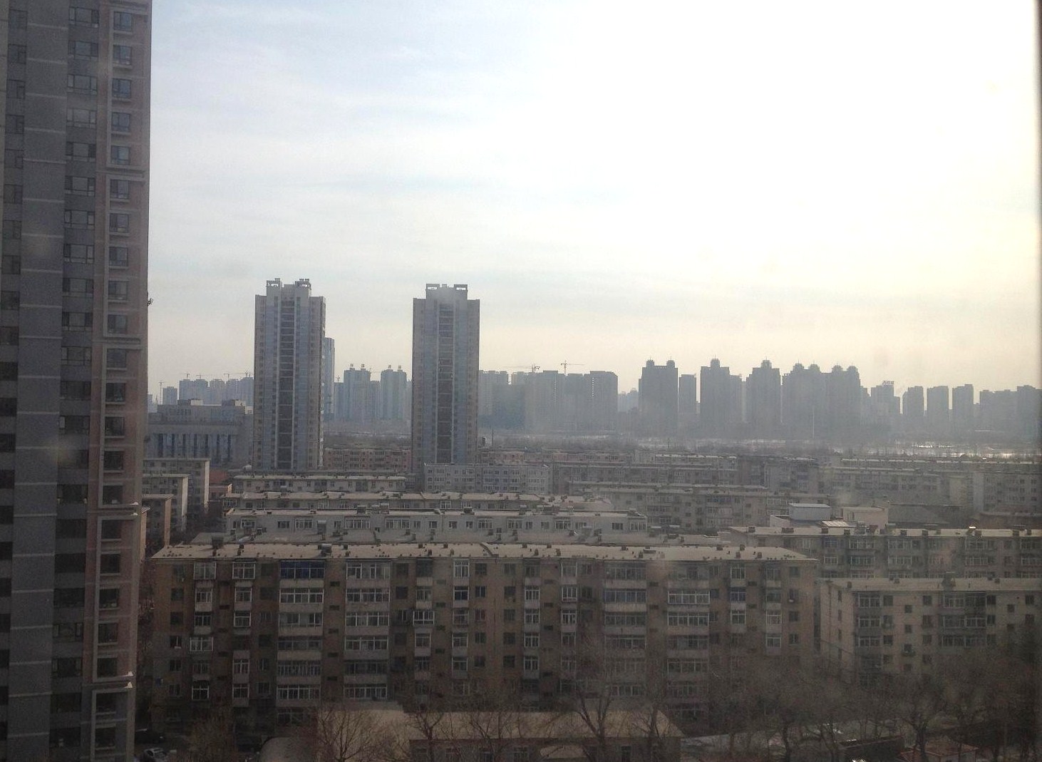 a0279234_1432624.jpg