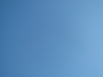 f0223234_10453665.jpg