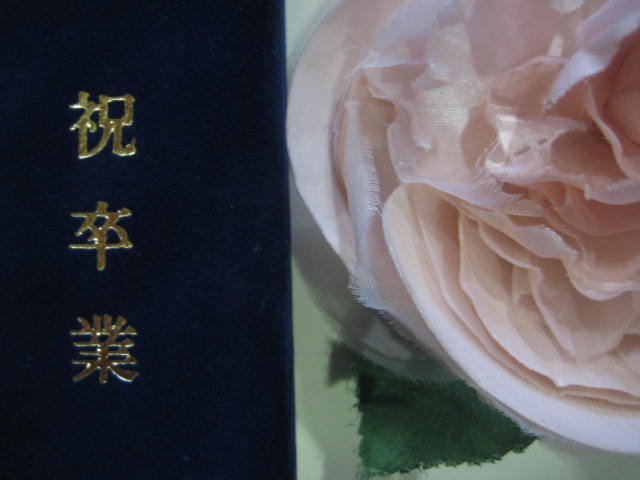 b0166435_17163265.jpg