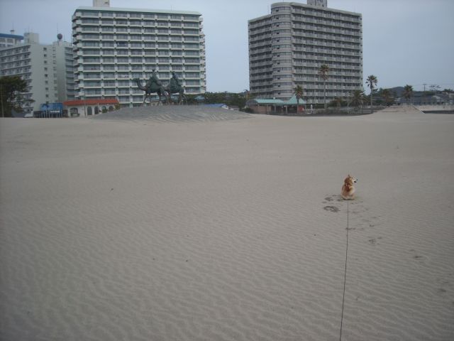 b0174236_15103710.jpg