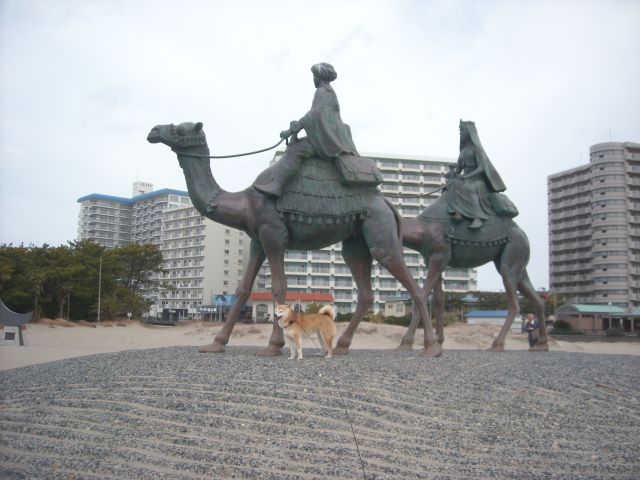b0174236_15104912.jpg