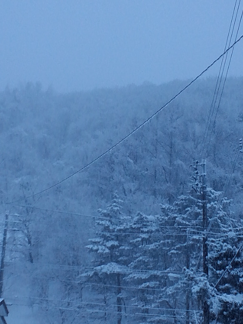 c0117239_9371380.jpg