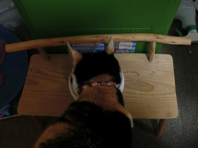 c0194042_21494615.jpg