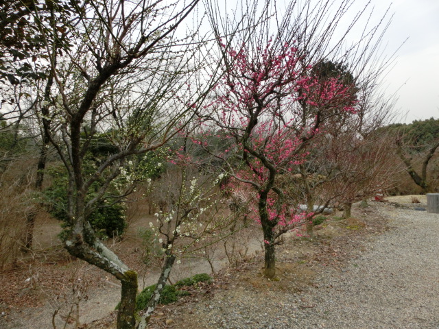 c0194042_2158949.jpg