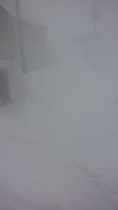 c0254543_5284626.jpg