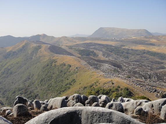 e0164643_1142418.jpg