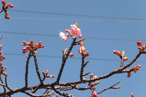 e0088260_1623498.jpg
