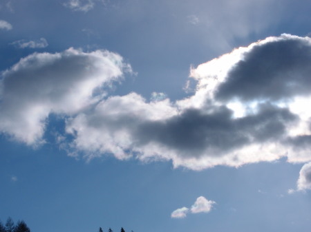 c0122670_021332.jpg