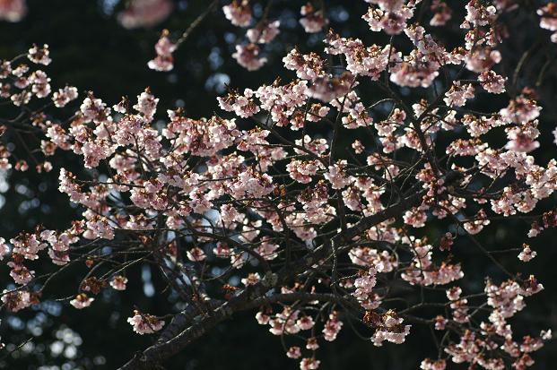e0304170_22374996.jpg