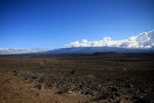 f0238184_2193913.jpg