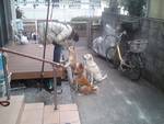 c0123890_19345889.jpg