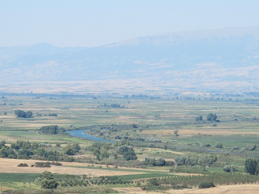 c0010496_9102180.jpg