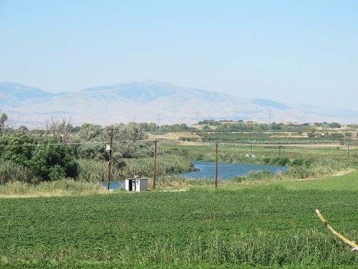 c0010496_910535.jpg