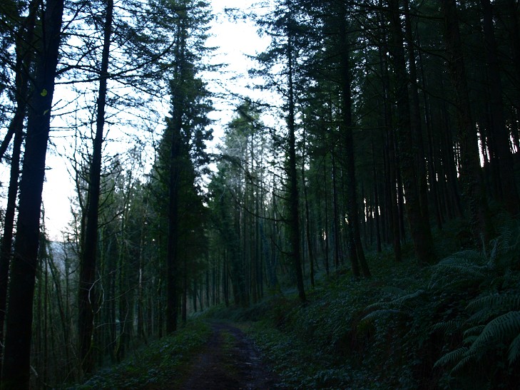 b0110999_21245313.jpg