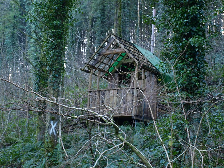 b0110999_21254150.jpg