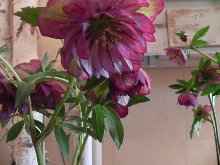 c0152002_1717085.jpg
