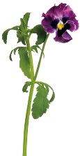 f0200803_23375189.jpg