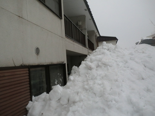 e0242504_11424698.jpg