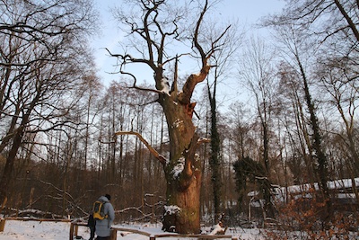 e0038811_21545839.jpg