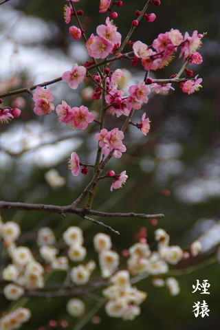 f0212217_046183.jpg