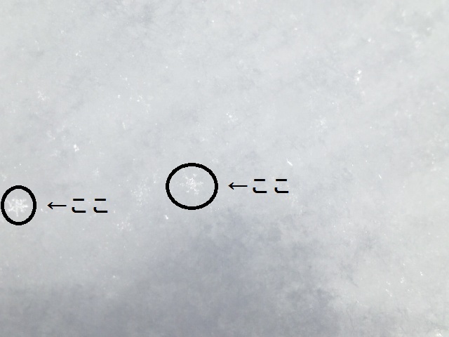 b0199924_3425286.jpg