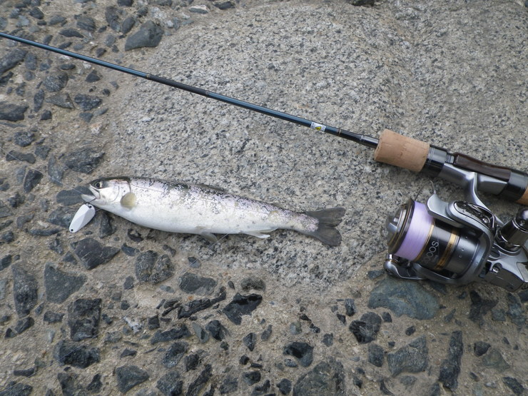 a0272033_19372987.jpg