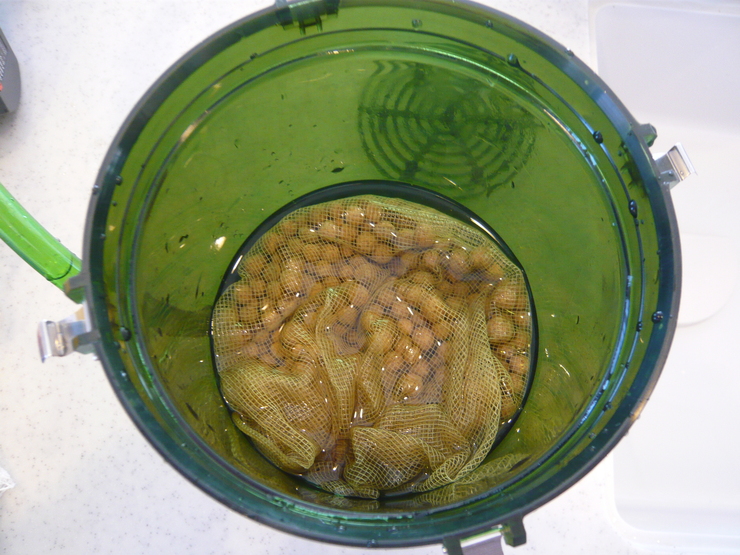 c0250835_16513435.jpg