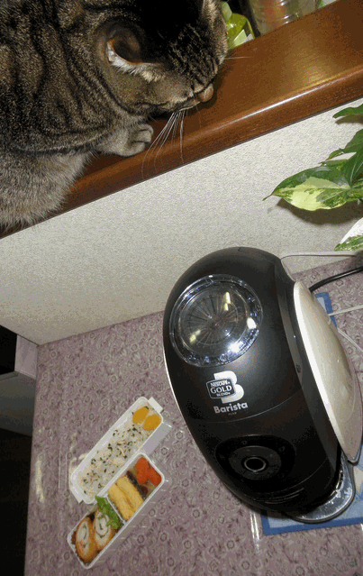 c0136736_175112.gif