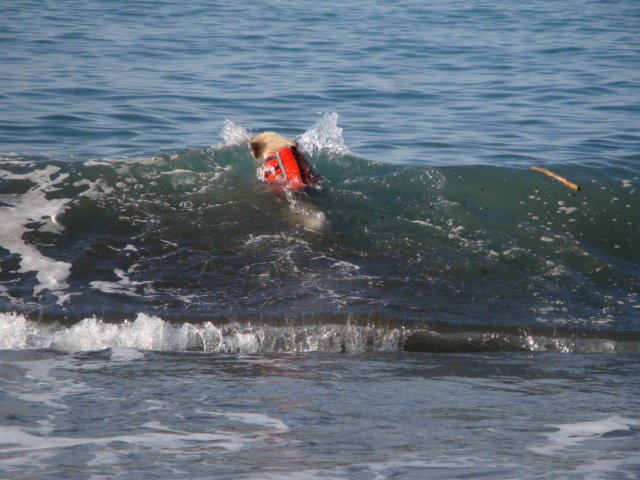 e0158841_1518637.jpg