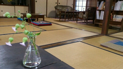 a0177648_20404448.jpg