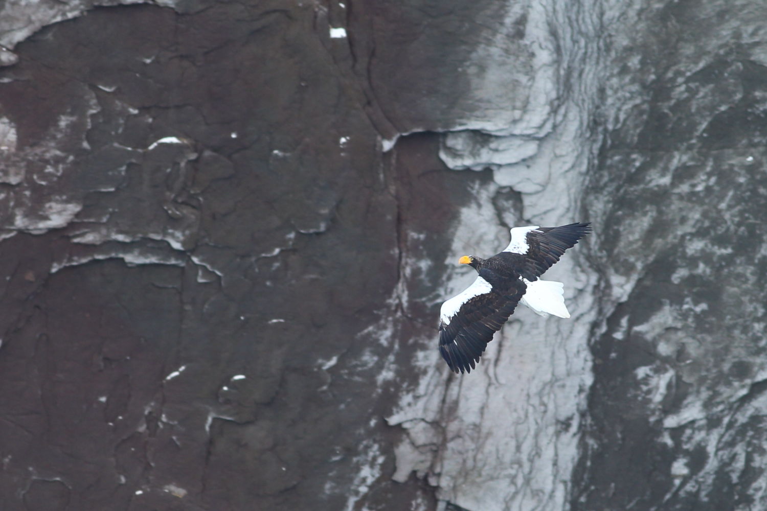 f0227662_22132939.jpg