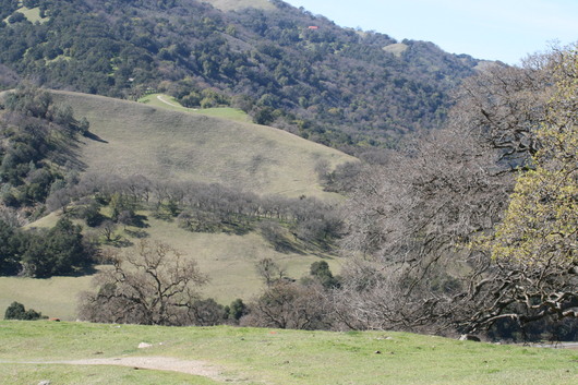 c0115366_22173049.jpg