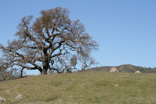 c0115366_22224835.jpg